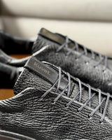 Sneakers VS Shark